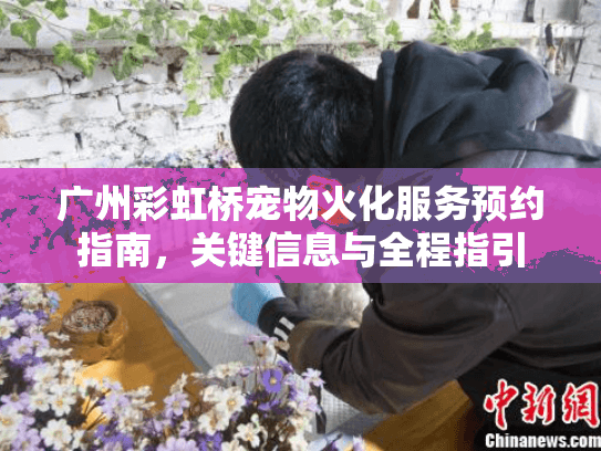 广州彩虹桥宠物火化服务预约指南，关键信息与全程指引