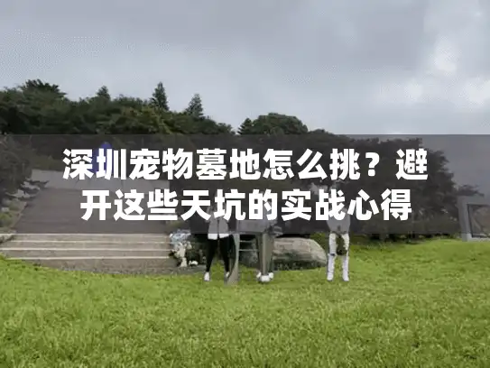 深圳宠物墓地怎么挑？避开这些天坑的实战心得