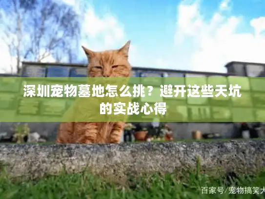 深圳宠物墓地怎么挑？避开这些天坑的实战心得