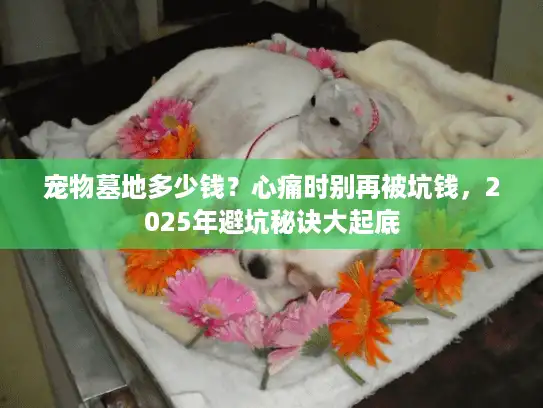 宠物墓地多少钱?心痛时别再被坑钱,2025年避坑秘诀大起底 宠物墓地多少钱?心痛时别再被坑钱,2025年避坑秘诀大起底