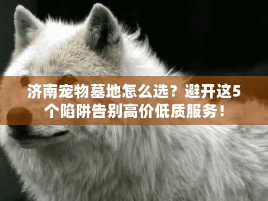 济南宠物墓地怎么选？避开这5个陷阱告别高价低质服务！