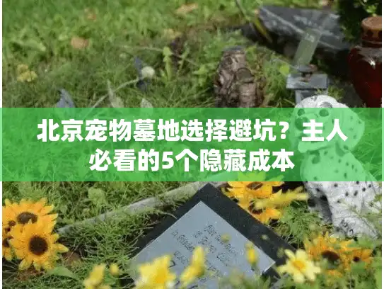 北京宠物墓地选择避坑?主人必看的5个隐藏成本 北京宠物墓地选择避坑?主人必看的5个隐藏成本