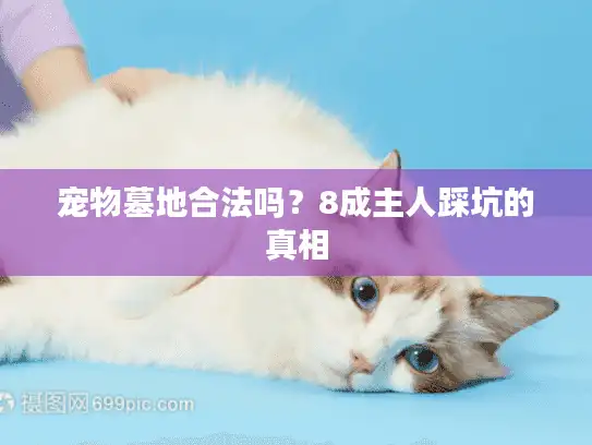 宠物墓地合法吗？8成主人踩坑的真相