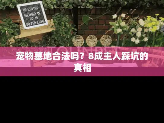 宠物墓地合法吗？8成主人踩坑的真相
