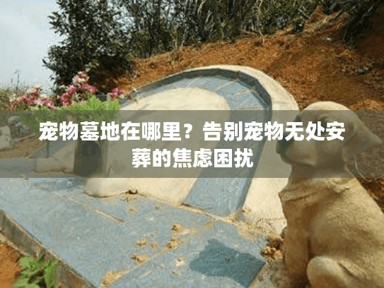 宠物墓地在哪里?告别宠物无处安葬的焦虑困扰 宠物墓地在哪里?告别宠物无处安葬的焦虑困扰