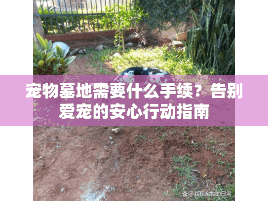 宠物墓地需要什么手续?告别爱宠的安心行动指南 宠物墓地需要什么手续?告别爱宠的安心行动指南