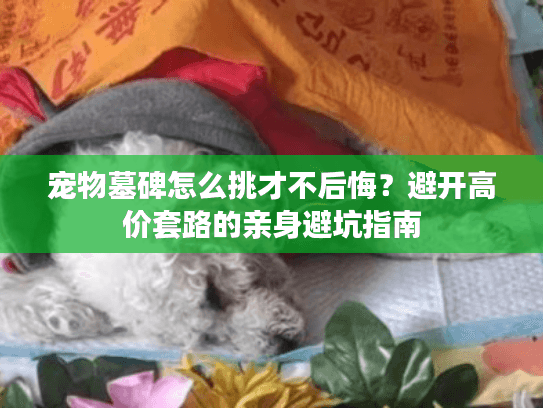 宠物墓碑怎么挑才不后悔？避开高价套路的亲身避坑指南