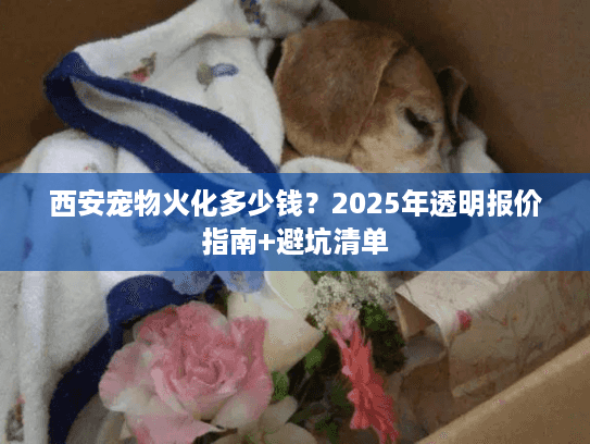 西安宠物火化多少钱？2025年透明报价指南+避坑清单