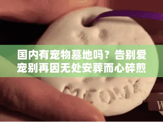 国内有宠物墓地吗？告别爱宠别再因无处安葬而心碎煎熬！