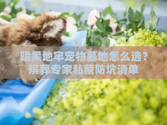 暗黑地牢宠物墓地怎么选？殡葬专家私藏防坑清单