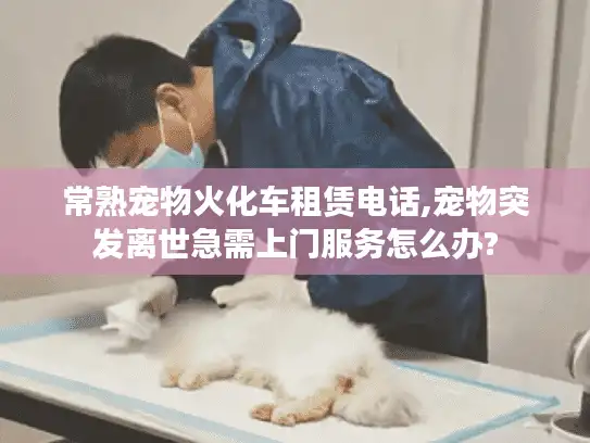 常熟宠物火化车租赁电话,宠物突发离世急需上门服务怎么办?