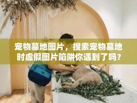 宠物墓地图片，搜索宠物墓地时虚假图片陷阱你遇到了吗？