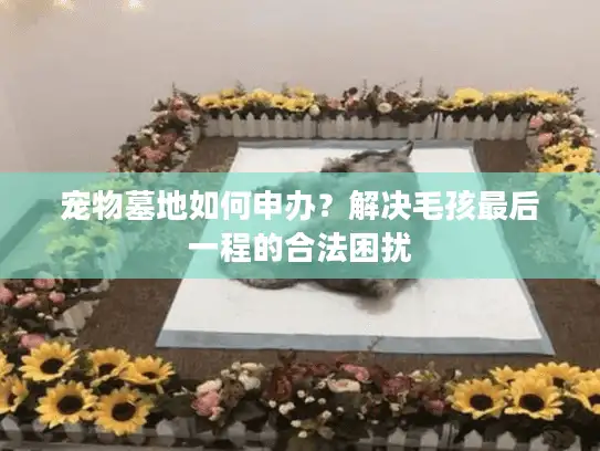 宠物墓地如何申办?解决毛孩最后一程的合法困扰 宠物墓地如何申办?解决毛孩最后一程的合法困扰