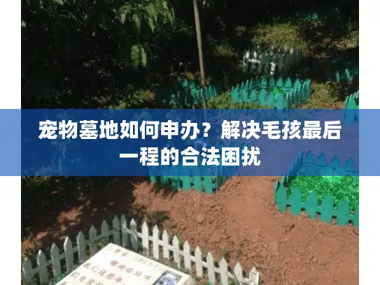 宠物墓地如何申办?解决毛孩最后一程的合法困扰 宠物墓地如何申办?解决毛孩最后一程的合法困扰