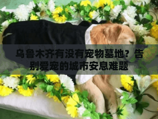 乌鲁木齐有没有宠物墓地?告别爱宠的城市安息难题 乌鲁木齐有没有宠物墓地?告别爱宠的城市安息难题
