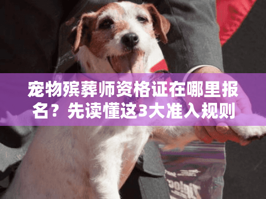 宠物殡葬师资格证在哪里报名？先读懂这3大准入规则再行动