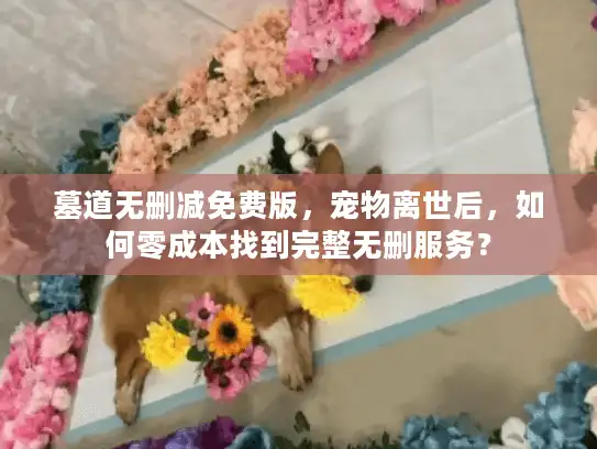 墓道无删减免费版,宠物离世后,如何零成本找到完整无删服务? 墓道无删减免费版,宠物离世后,如何零成本找到完整无删服务?
