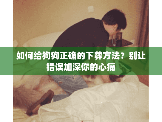如何给狗狗正确的下葬方法？别让错误加深你的心痛