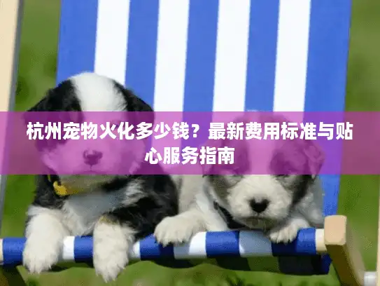 杭州宠物火化多少钱？最新费用标准与贴心服务指南