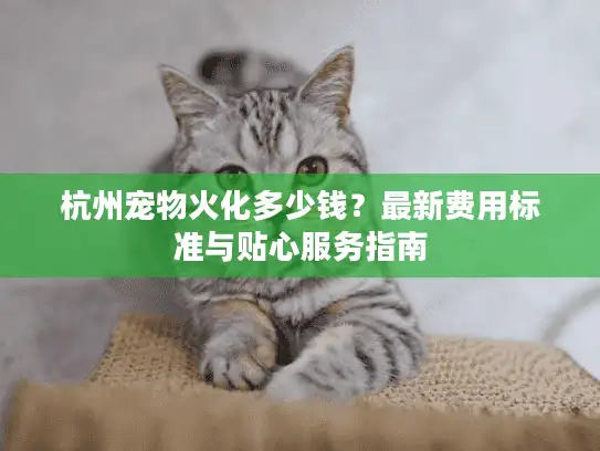 杭州宠物火化多少钱？最新费用标准与贴心服务指南