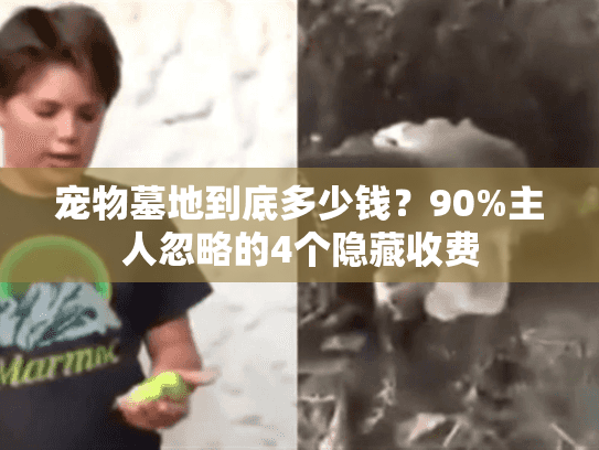 宠物墓地到底多少钱？90%主人忽略的4个隐藏收费