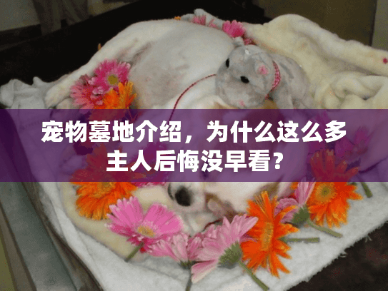 宠物墓地介绍，为什么这么多主人后悔没早看？