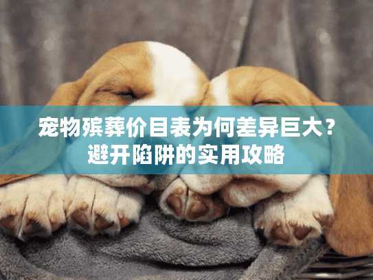 宠物殡葬价目表为何差异巨大?避开陷阱的实用攻略 宠物殡葬价目表为何差异巨大?避开陷阱的实用攻略