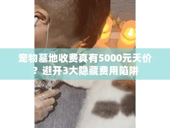 宠物墓地收费真有5000元天价？避开3大隐藏费用陷阱