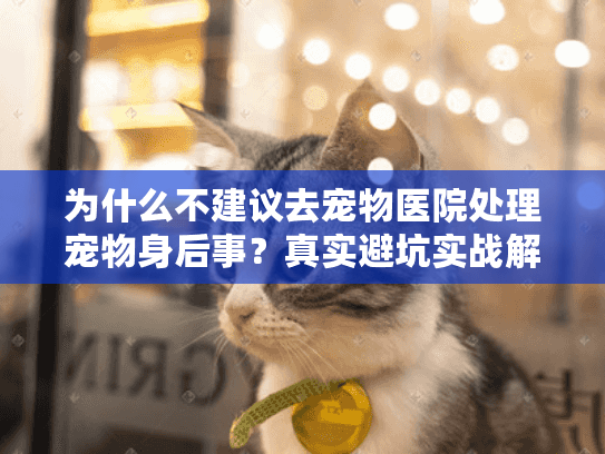 为什么不建议去宠物医院处理宠物身后事？真实避坑实战解析