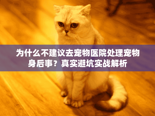为什么不建议去宠物医院处理宠物身后事？真实避坑实战解析