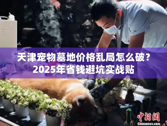 天津宠物墓地价格乱局怎么破？2025年省钱避坑实战贴