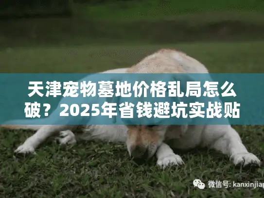 天津宠物墓地价格乱局怎么破？2025年省钱避坑实战贴