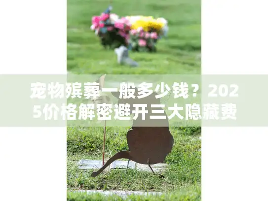 宠物殡葬一般多少钱？2025价格解密避开三大隐藏费用