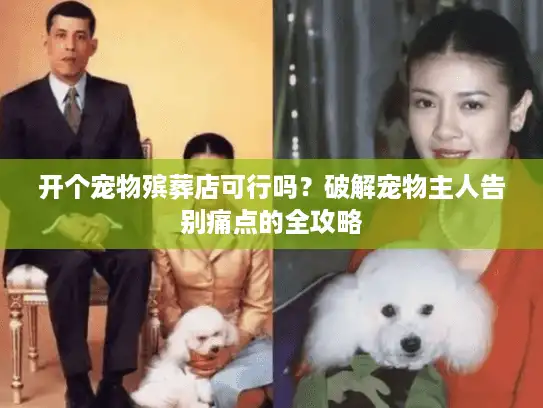 开个宠物殡葬店可行吗？破解宠物主人告别痛点的全攻略