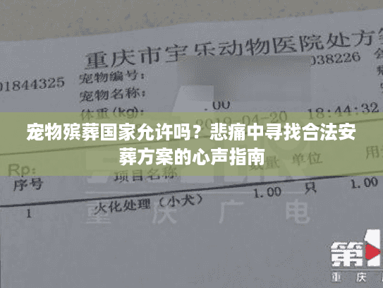 宠物殡葬国家允许吗？悲痛中寻找合法安葬方案的心声指南