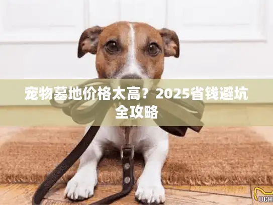 宠物墓地价格太高?2025省钱避坑全攻略 宠物墓地价格太高?2025省钱避坑全攻略
