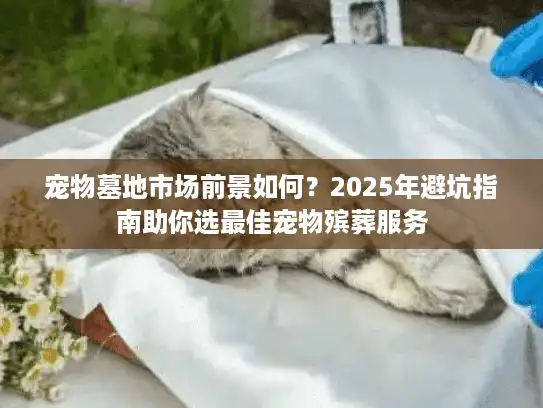 宠物墓地市场前景如何？2025年避坑指南助你选最佳宠物殡葬服务