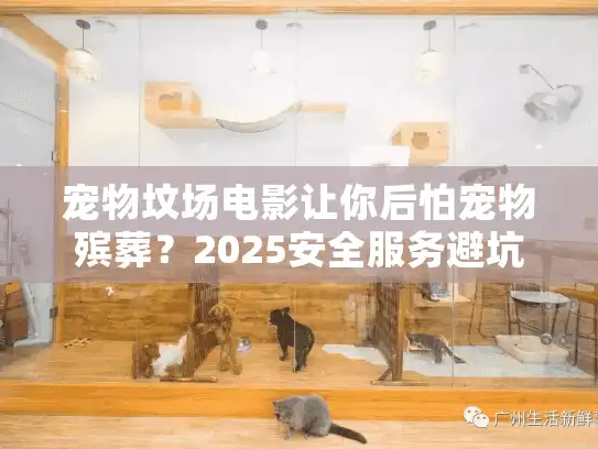 宠物坟场电影让你后怕宠物殡葬？2025安全服务避坑全解