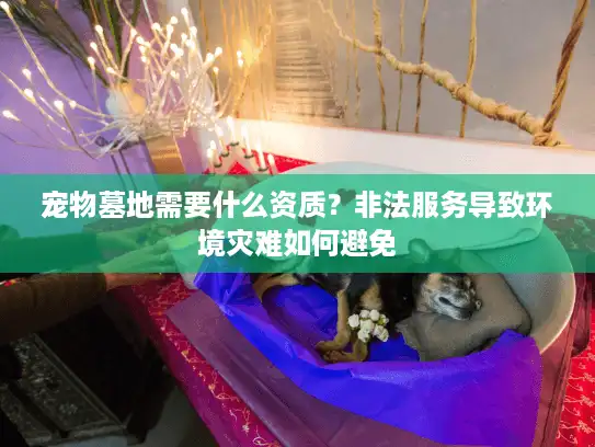 宠物墓地需要什么资质?非法服务导致环境灾难如何避免 宠物墓地需要什么资质?非法服务导致环境灾难如何避免