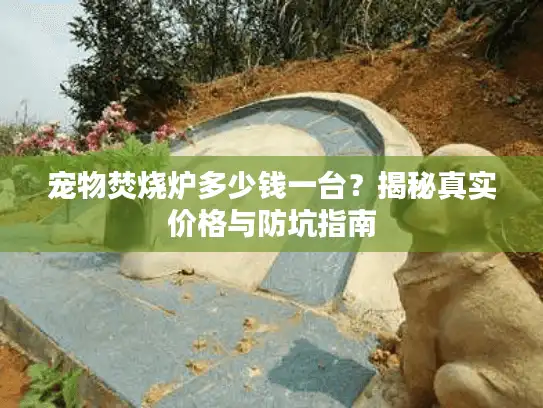 宠物焚烧炉多少钱一台？揭秘真实价格与防坑指南
