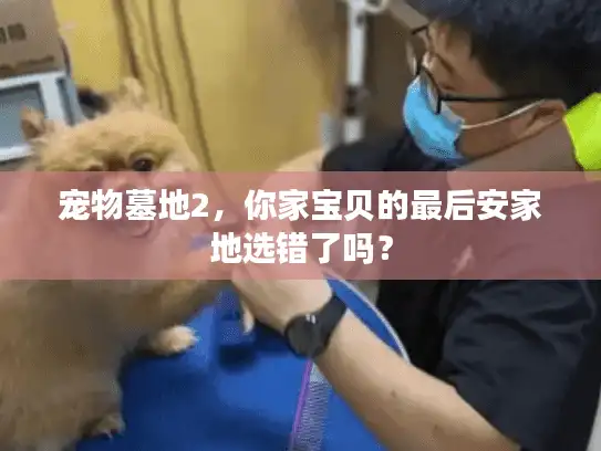 宠物墓地2,你家宝贝的最后安家地选错了吗? 宠物墓地2,你家宝贝的最后安家地选错了吗?