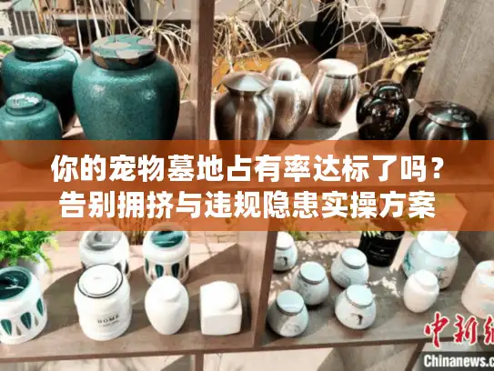 你的宠物墓地占有率达标了吗？告别拥挤与违规隐患实操方案