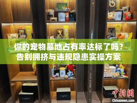 你的宠物墓地占有率达标了吗？告别拥挤与违规隐患实操方案