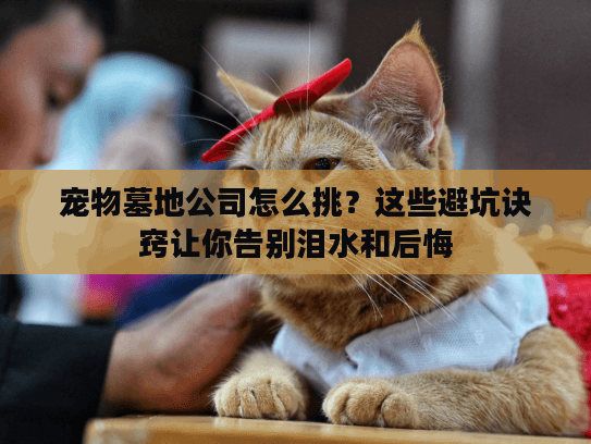 宠物墓地公司怎么挑？这些避坑诀窍让你告别泪水和后悔