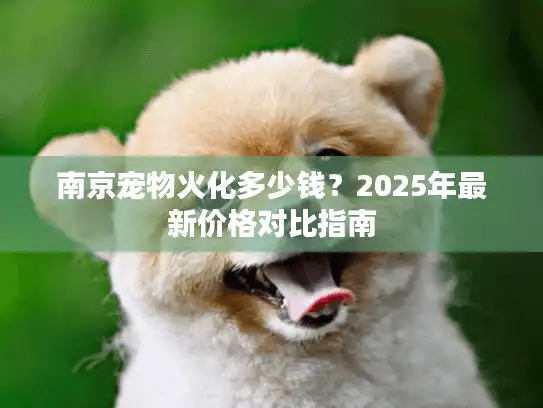 南京宠物火化多少钱？2025年最新价格对比指南