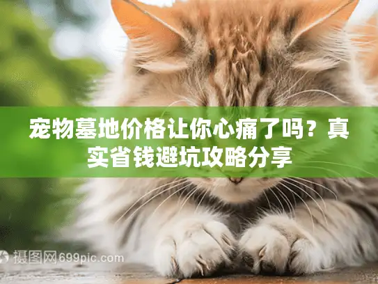 宠物墓地价格让你心痛了吗？真实省钱避坑攻略分享