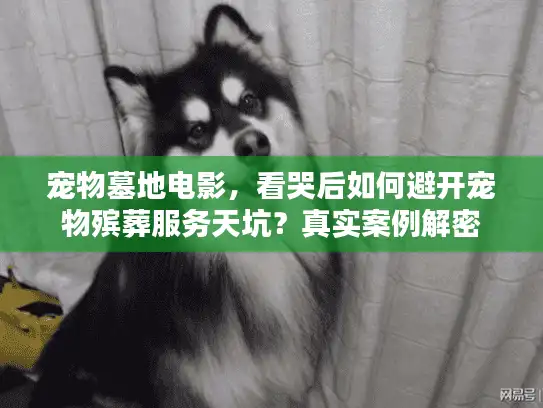 宠物墓地电影，看哭后如何避开宠物殡葬服务天坑？真实案例解密