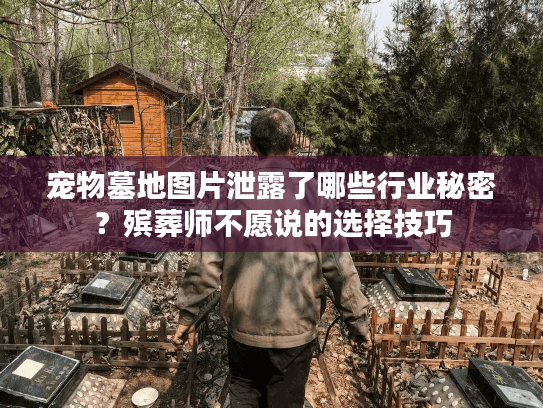 宠物墓地图片泄露了哪些行业秘密？殡葬师不愿说的选择技巧