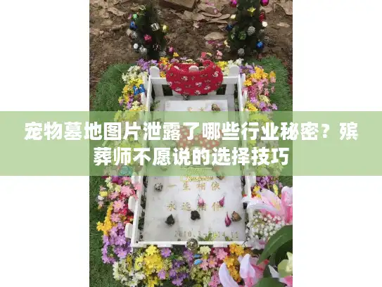 宠物墓地图片泄露了哪些行业秘密？殡葬师不愿说的选择技巧