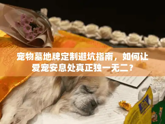 宠物墓地牌定制避坑指南,如何让爱宠安息处真正独一无二? 宠物墓地牌定制避坑指南,如何让爱宠安息处真正独一无二?